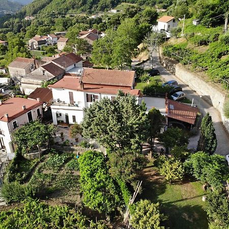 Agriturismo Mare E Monti Tramonti Luaran gambar