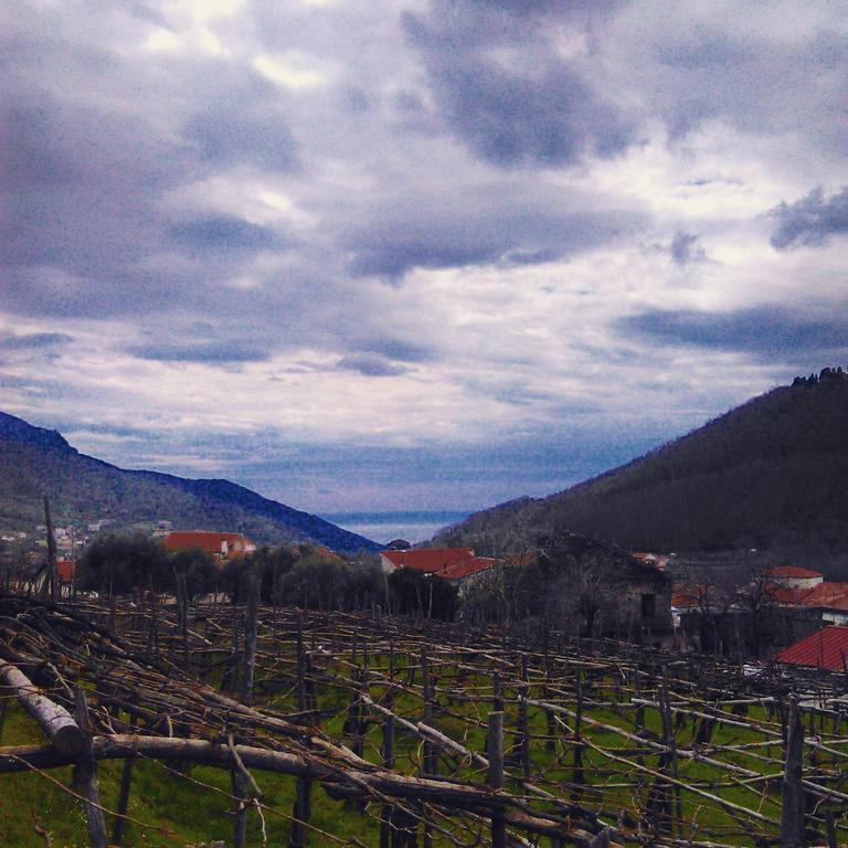 Agriturismo Mare E Monti Tramonti Luaran gambar
