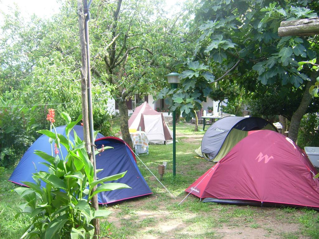Agriturismo Mare E Monti Tramonti Luaran gambar