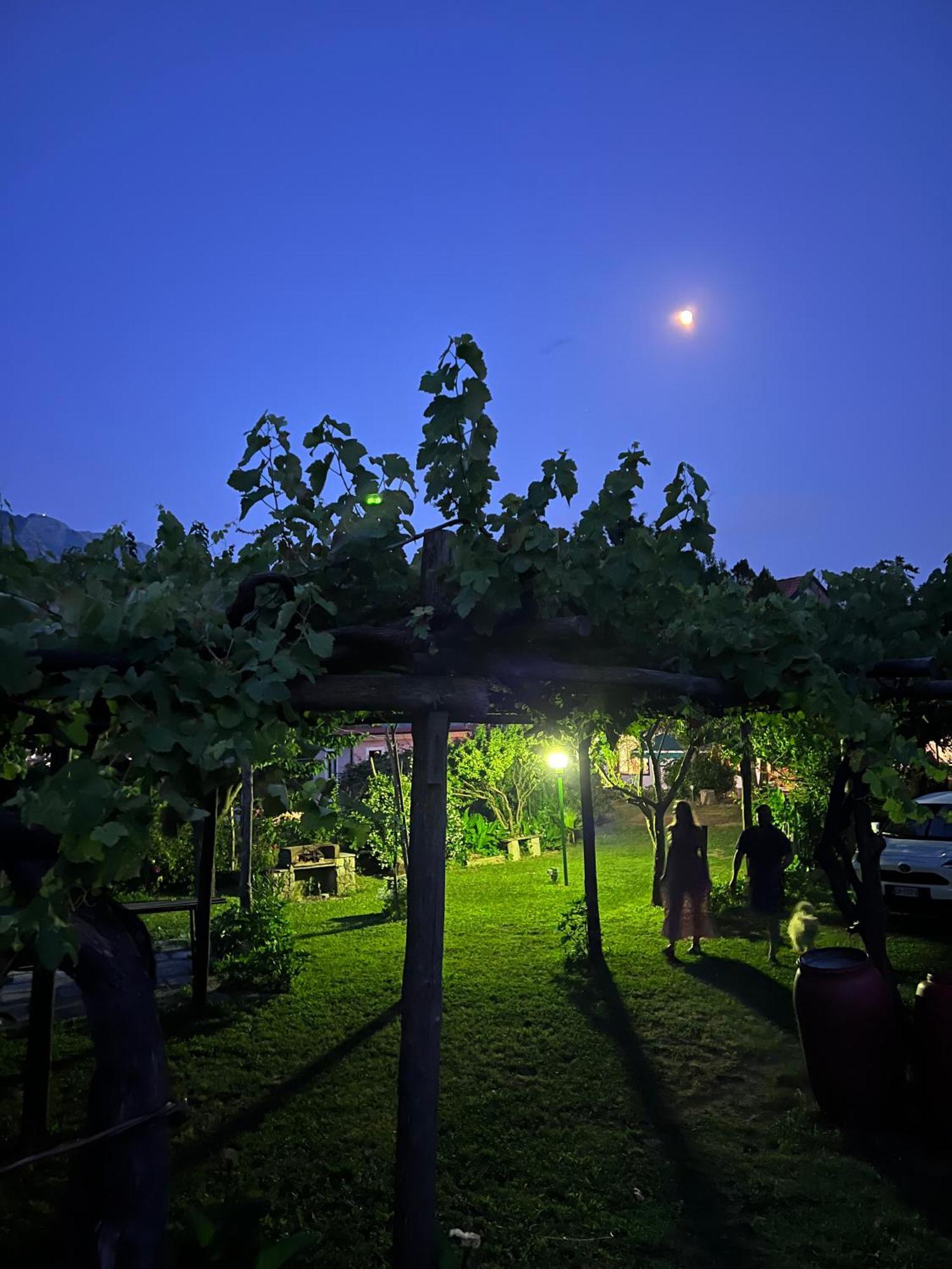Agriturismo Mare E Monti Tramonti Luaran gambar
