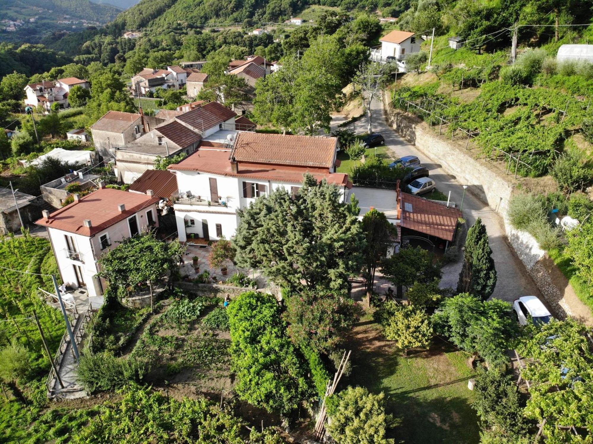Agriturismo Mare E Monti Tramonti Luaran gambar