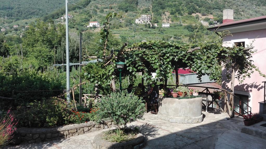 Agriturismo Mare E Monti Tramonti Luaran gambar