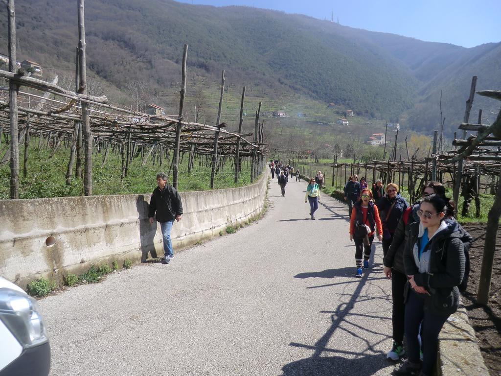 Agriturismo Mare E Monti Tramonti Luaran gambar